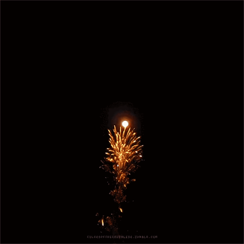 Fireworks 4th Of July GIF
