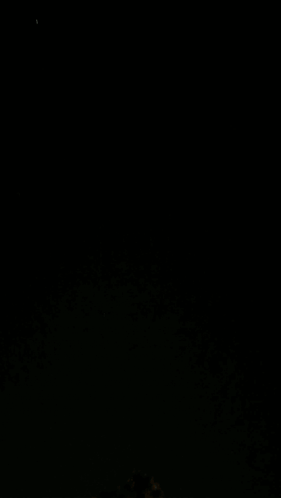 Fireworks 4th Of July GIF