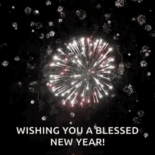 Fireworks Explosions GIF