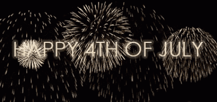 Fireworks Firework GIF