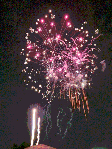 Fireworks Independence Day 4th Of July Starburst Peony Comet Explosion Fireworks Show GIF