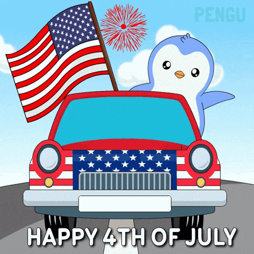 Fireworks Usa GIF