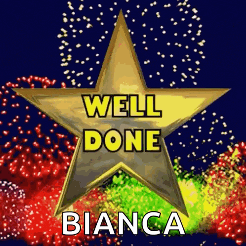 Fireworks Well Done GIF