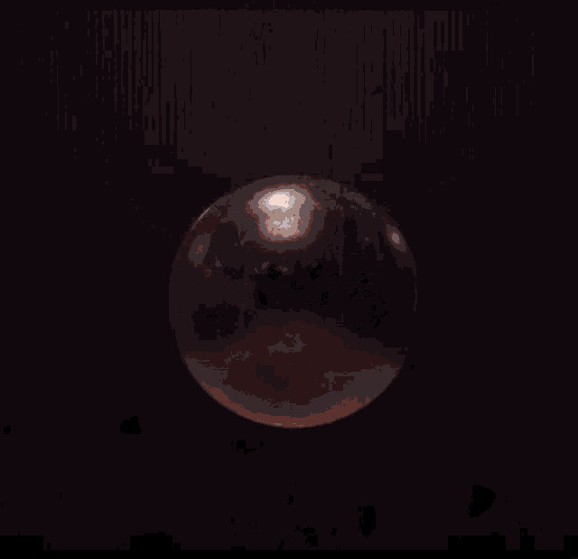 Firs To Fall Bronze GIF