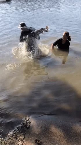 Fish Fishing GIF