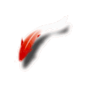 Fish Sticker