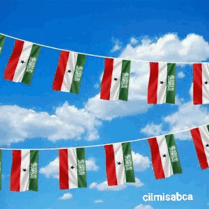 Flag Day GIF