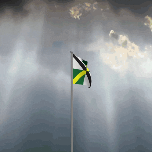 Flag Flag Waving GIF