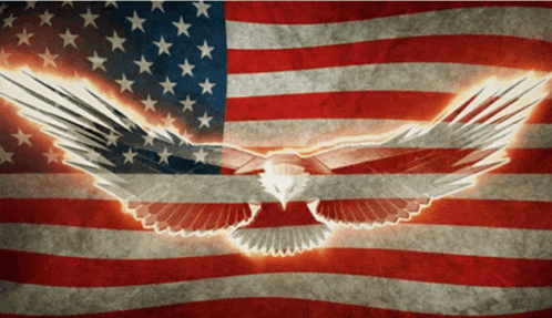 Flags Meme