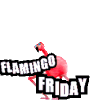 Flamingo Friday Flamingo Sticker