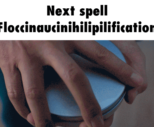 Floccinaucinihilipilification Spelling Bee GIF