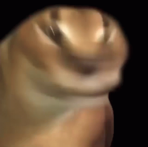 Flopper Rotation GIF
