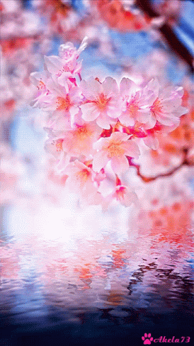 Flower GIF