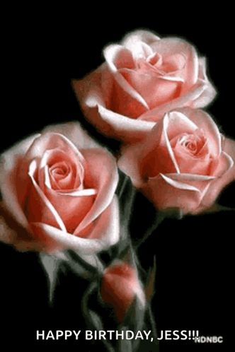 Flower Rose GIF