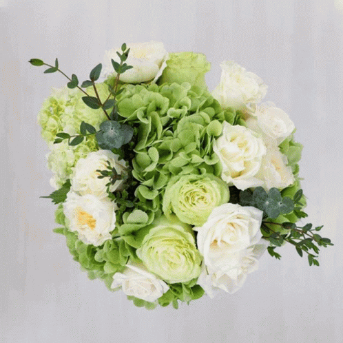 Flower Subscription Flowers GIF