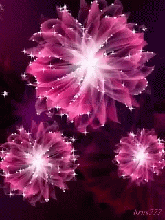 Flowers Animation GIF