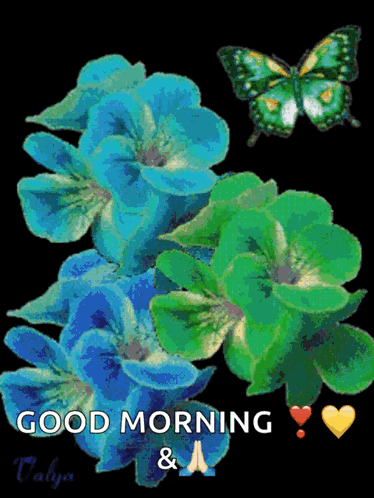 Flowers Butterfly GIF