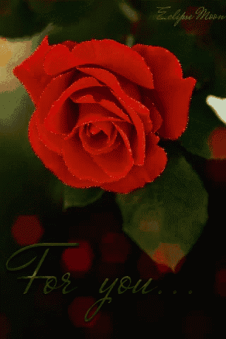 Flowers GIF