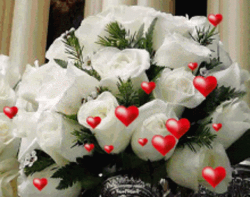 Flowers Rose GIF