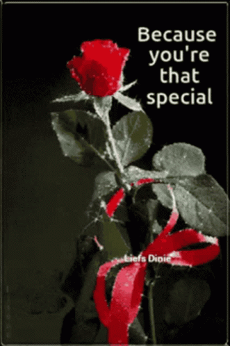 Flowers Rose GIF
