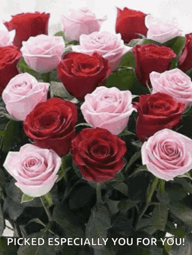 Flowers Roses GIF
