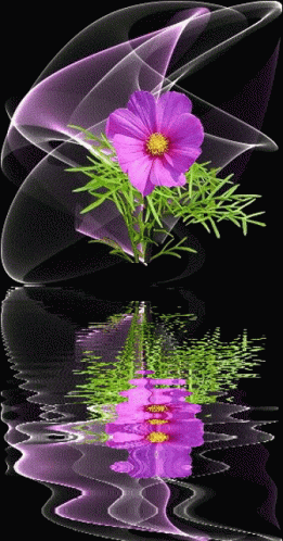 Flowers GIF