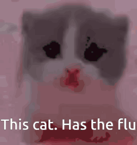 Flu Cat GIF