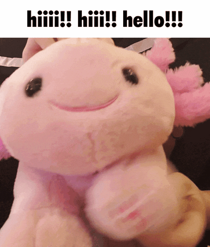 Flurp Cute GIF