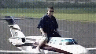 Fly GIF