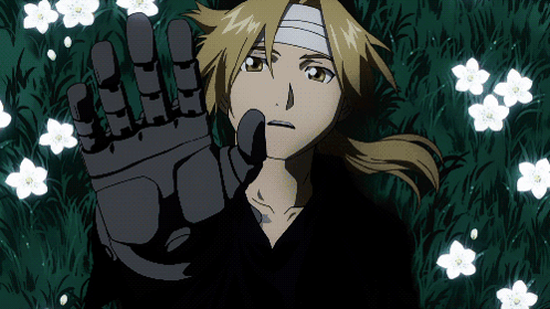 Fmab Fullmetal Alchemist GIF