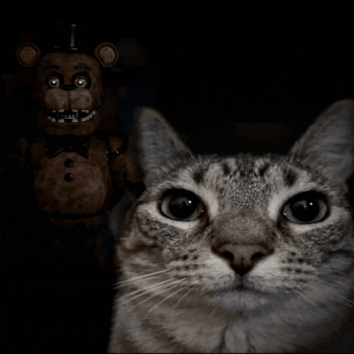 Fnaf Fnaf Memes GIF
