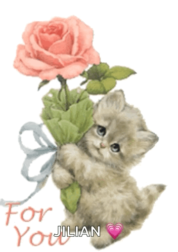 For You Cute Cat GIF