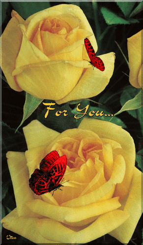 For You GIF