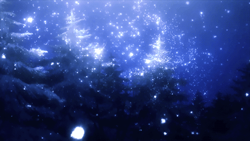 Forest Aesthetic GIF