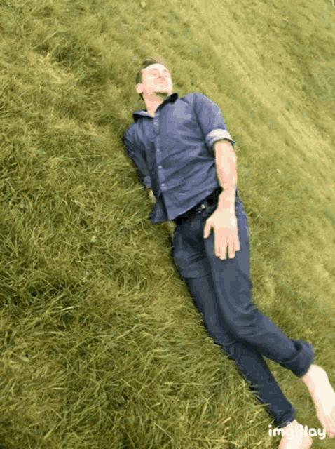 Forestquaglia Bye GIF