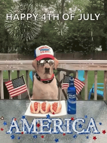 Fourth Of July GIF
