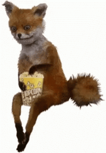 Fox Popcorn GIF