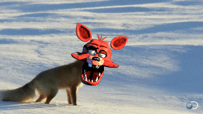 Foxy Is Stuck GIF