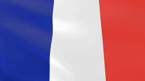 France Flag GIF