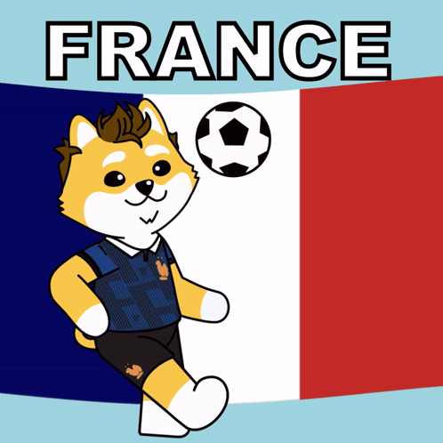 France Les Bleus GIF