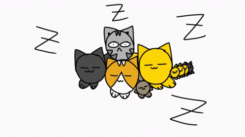 Frankie Cat GIF