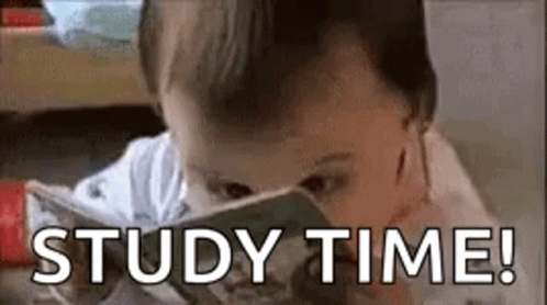 Frantic Studying GIF