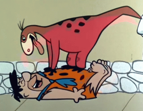 Fred Flintstone Dino GIF