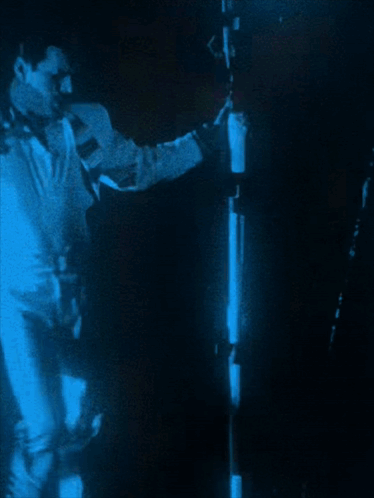 Freddie Freddie Mercury GIF