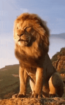 Freedom GIF