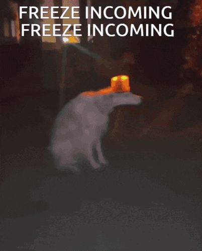 Freeze Lag GIF