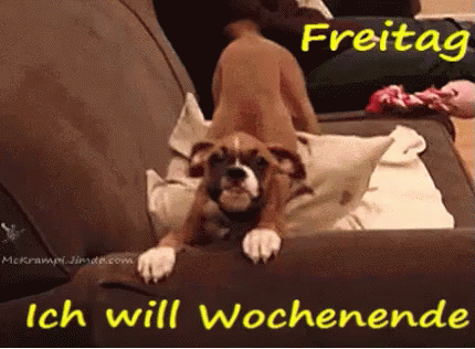 Freitag? Ich Will Wochenende GIF