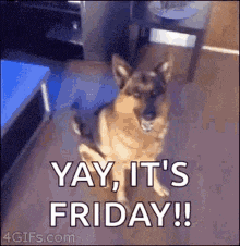 Friday Dogs GIF
