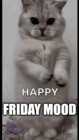 Friday End Of The Week GIF