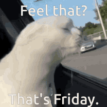 Friday GIF